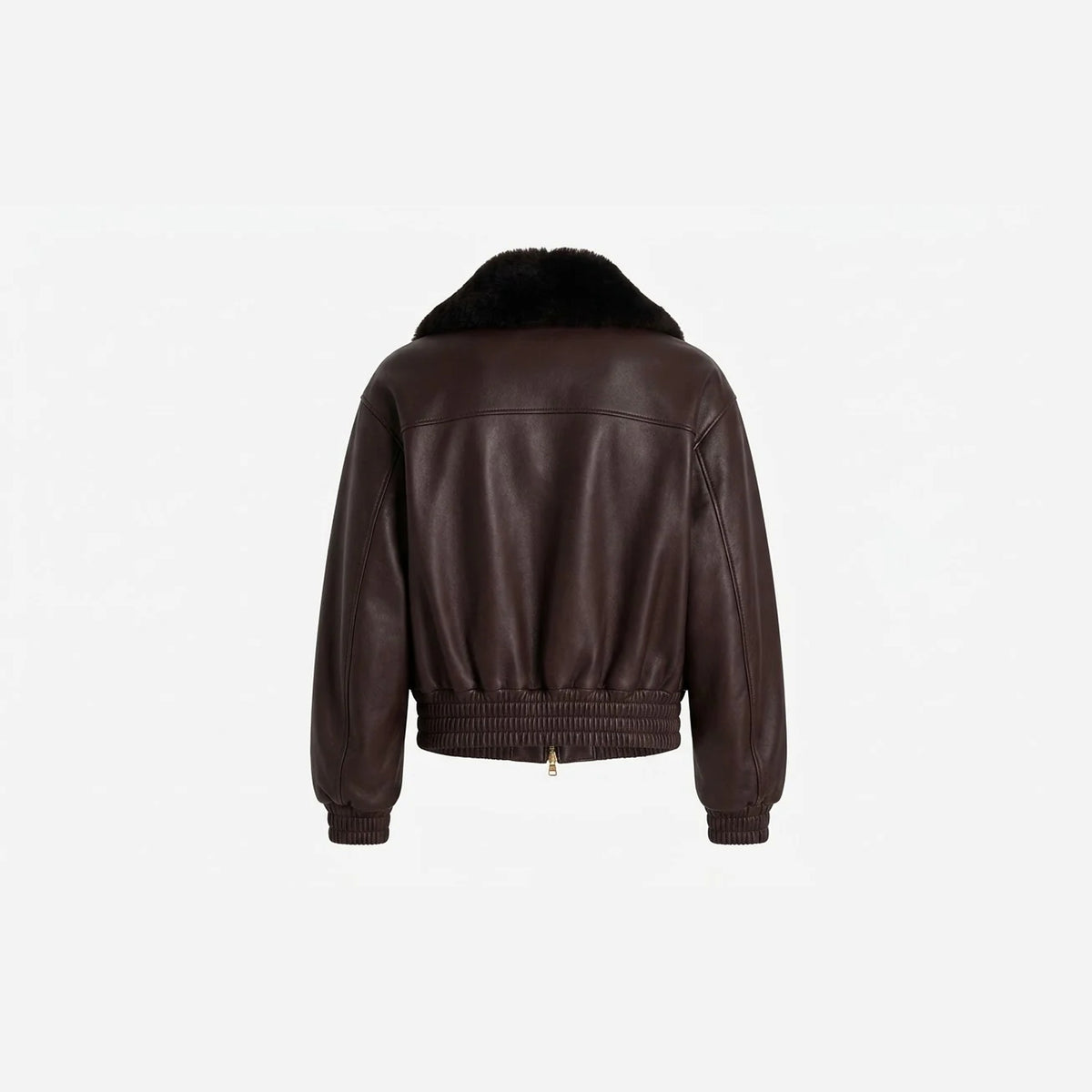Back view of brown leather aviator jacket with fur collar